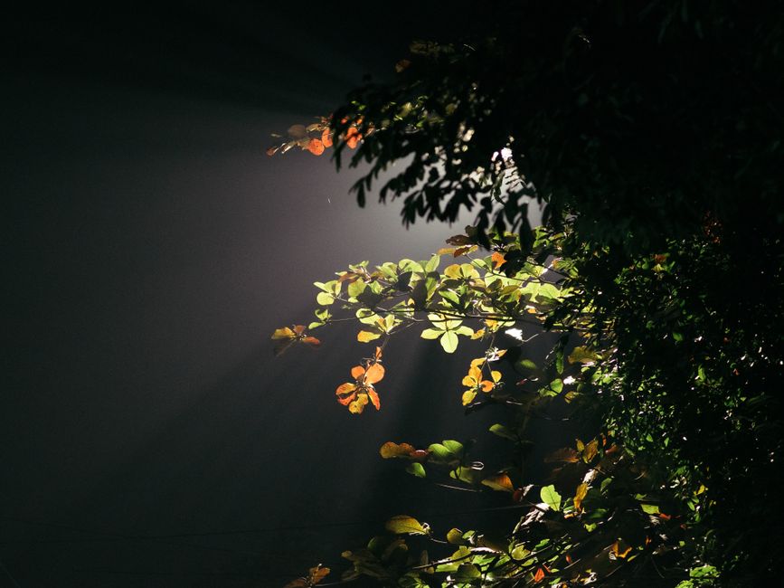 A Gentler Way to Approach Health Over A Lifetime, Not A Season, for Real Life