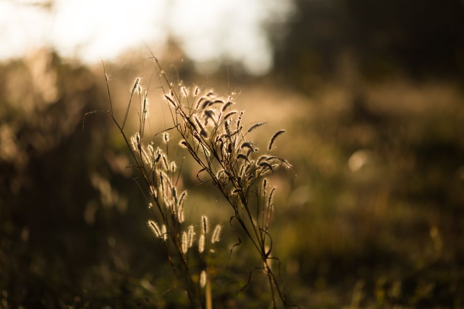 A Kinder Approach to Habits: How They Actually Form, in Plain Language