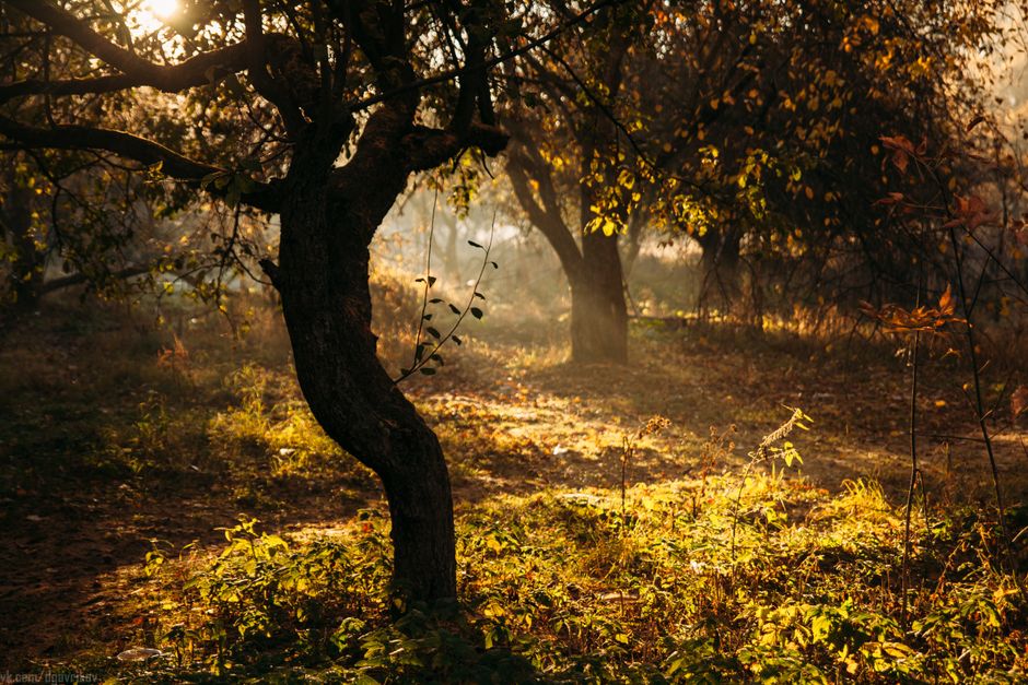 A Practical Take on Health Over A Lifetime, Not A Season, in Plain Language