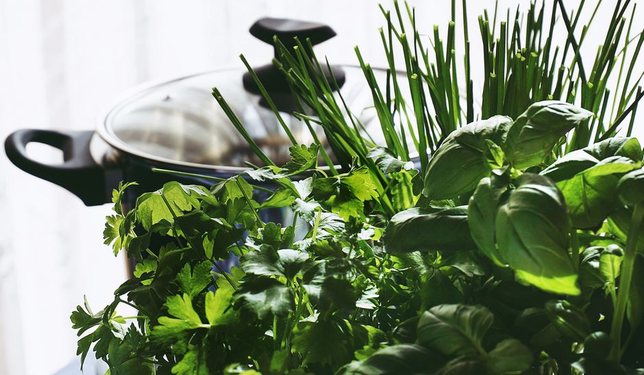 A Step-by-Step Look at Hydration Without The Myths, Without the Hype
