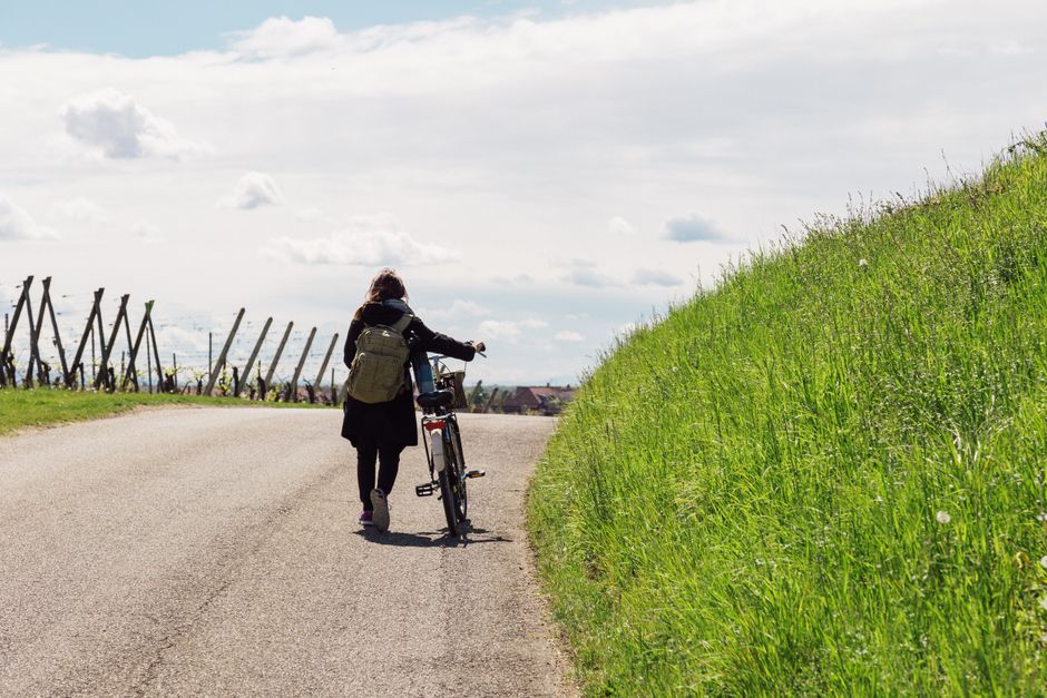 A Step-by-Step Look at The Ordinary Virtues Of Walking