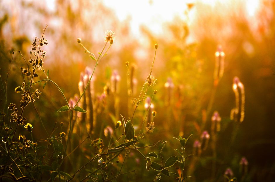 Habits: How They Actually Form: The Short Version