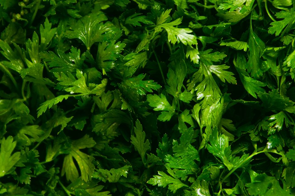 Herbs And Botanicals: A Cautious Look in Your 40s, 50s and Beyond, Without Overthinking It