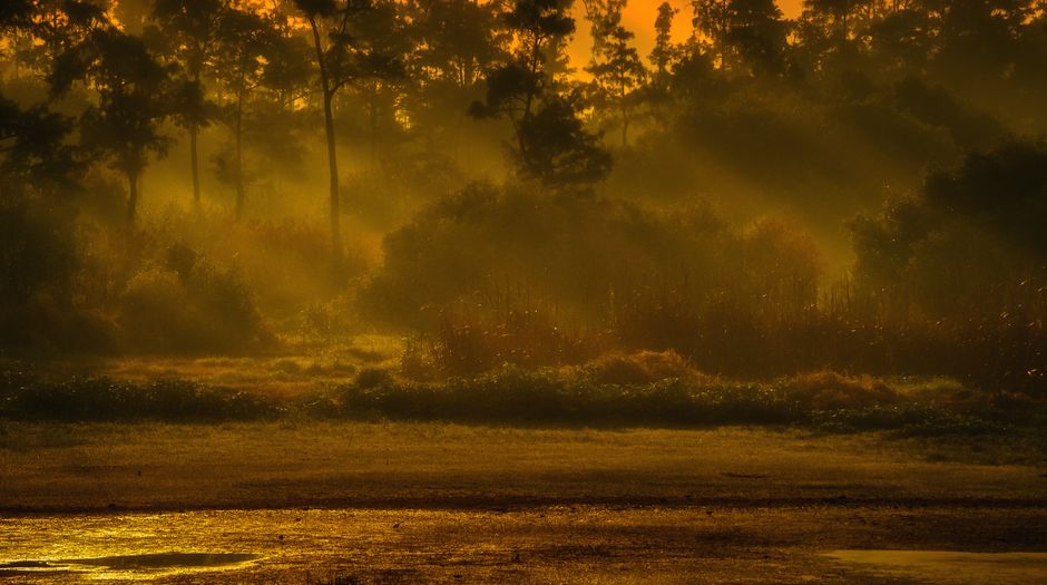 How to Stay Consistent With Habits: How They Actually Form, for Real Life