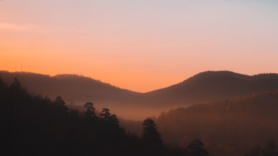 Loneliness As A Health Factor: What a Normal Week Looks Like