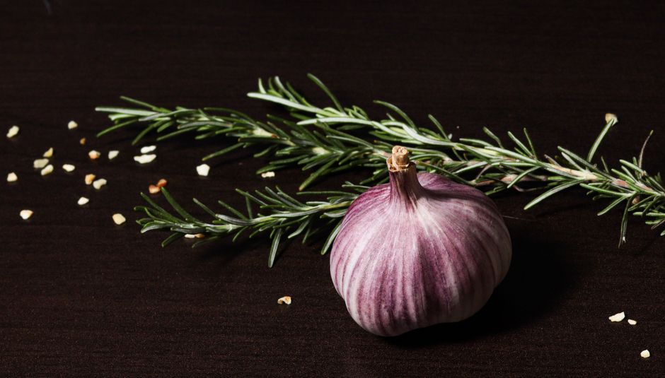 How to Reset Your Afternoon Energy with Basic Health Habits