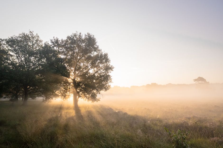 Starting Over Without Starting From Scratch as a Daily Habit, Made Simple