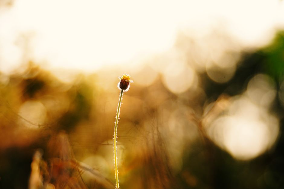 Starting Over Without Starting From Scratch as a Daily Habit, the Honest Way