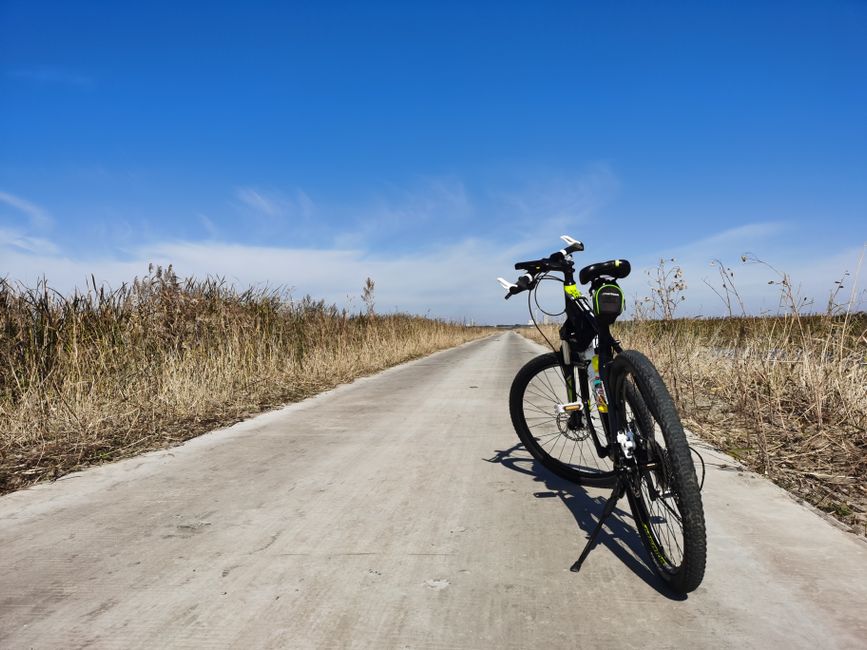 The Habit Of Moving Through The Day: A Beginner's Guide
