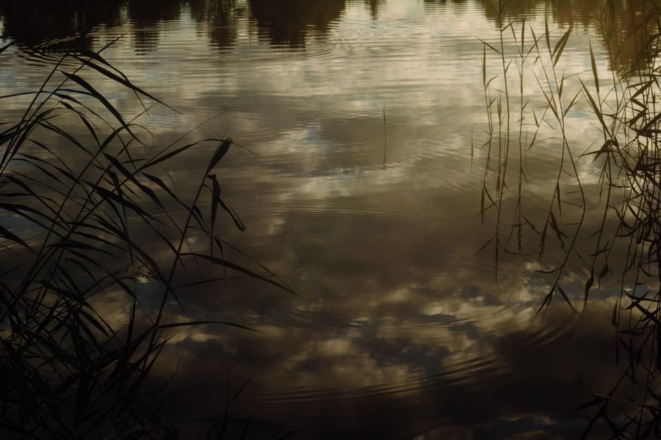 The Quiet Importance Of Rest: Myths and Facts — Part 2