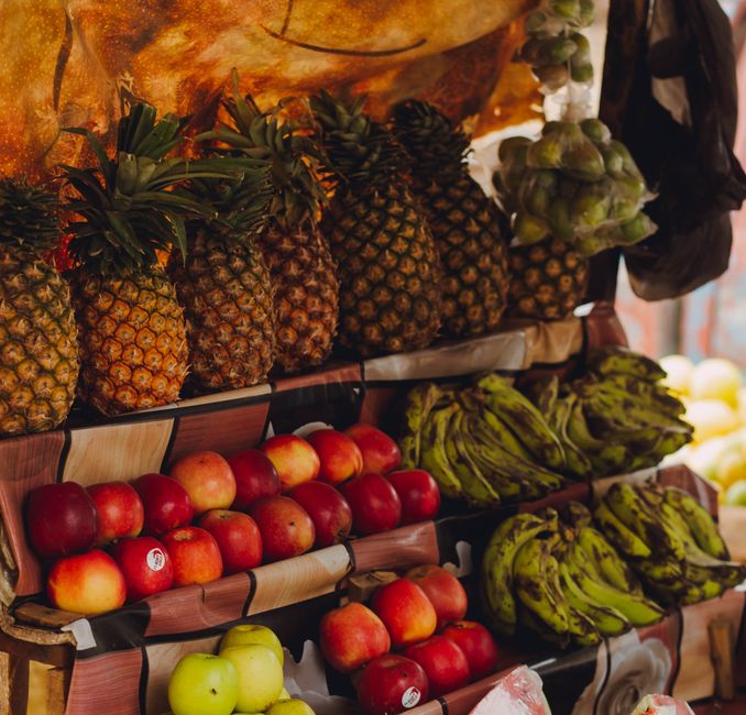 The Role Of Environment In Health: Practical Steps You Can Use — Part 2