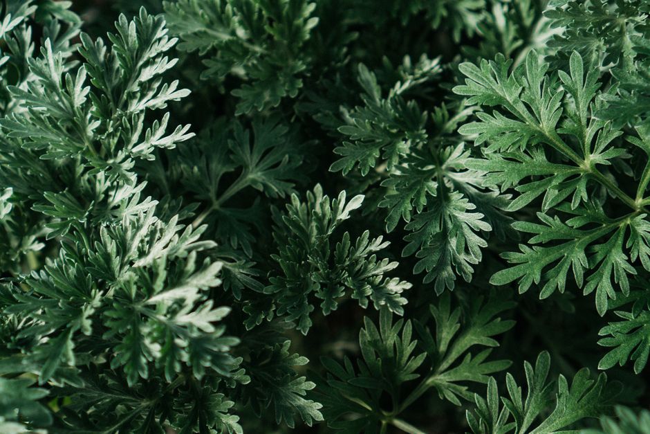 What Nobody Tells You About Seasonal Changes And How The Body Responds, Explained Simply